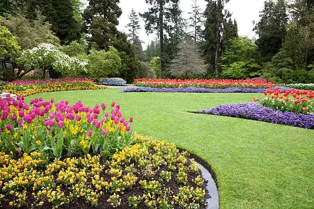 Landscaping Installation in Waxhaw, NC