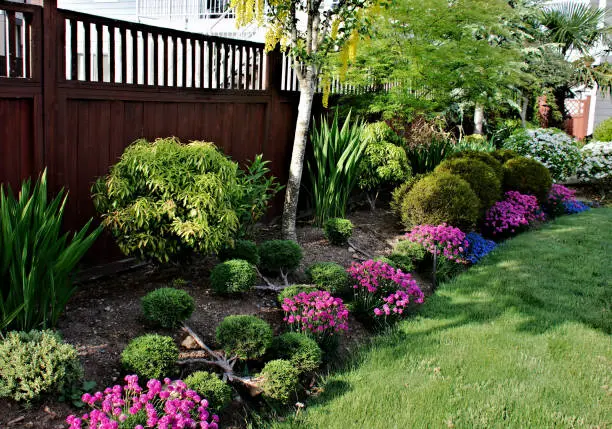 Landscaping Tips in Waxhaw, NC