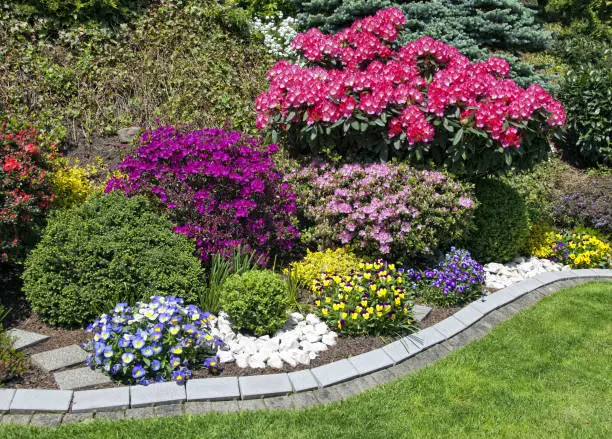 Landscaping Tips in Waxhaw, NC