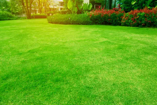 Lawn Maintenance Service in Waxhaw, NC Lawn Maintenance Service in Waxhaw, NC