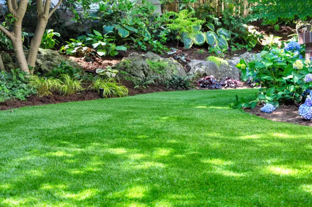 Lawn Maintenance Tips in Waxhaw, NC