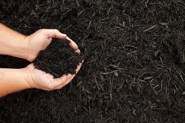 Mulching Ideas in Waxhaw, NC