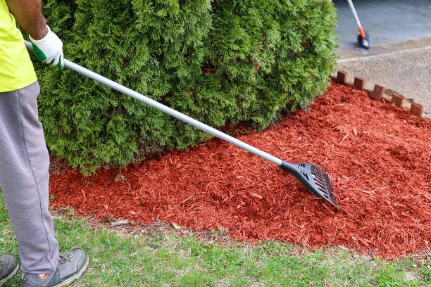 Mulching Ideas in Waxhaw, NC