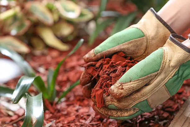 Mulching Service in Waxhaw, NC