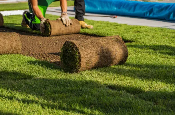 Quality Landscaping Installation in Waxhaw, NC