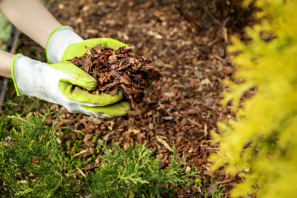 Quality Mulching Service in Waxhaw, NC