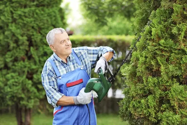 Tree Trimming Ideas in Waxhaw, NC