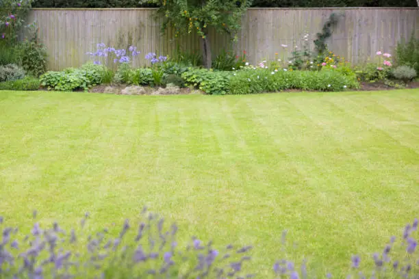 What Is Lawn Maintenance in Waxhaw, NC